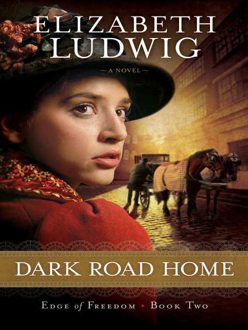 Title details for Dark Road Home by Elizabeth Ludwig - Wait list